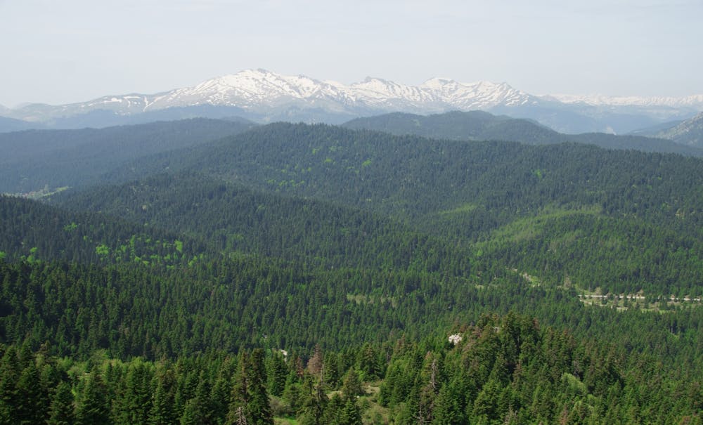 Πεζοπορία στο Νομό Τρικάλων μέχρι την εντυπωσιακή κορυφή του Κόζιακα (Pics) runbeat.gr